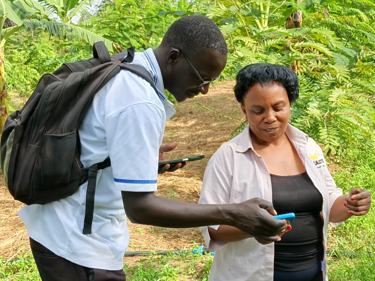 Participants review information on a mobile device during the field demonstration